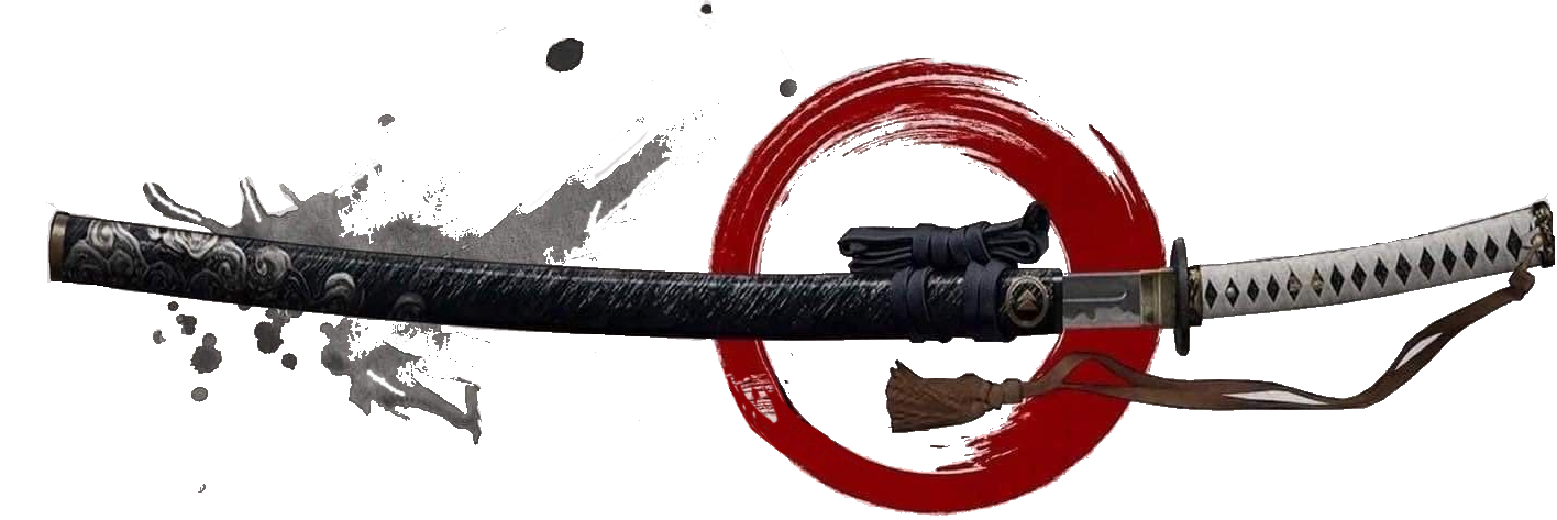 Bannière Aïkido Budo Club de Lavaur